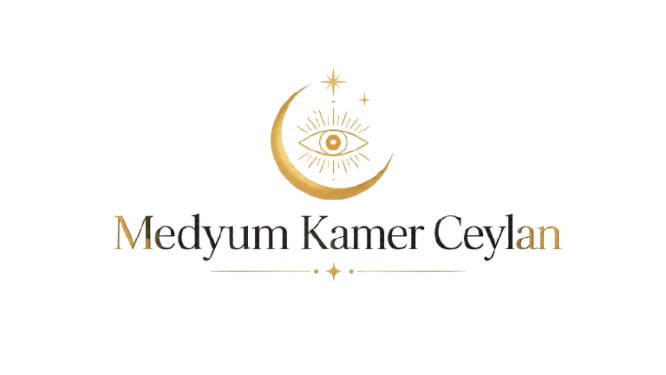 logo trans